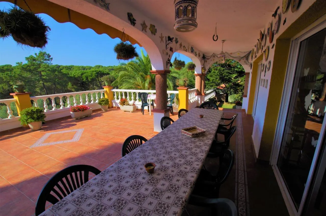 Vacances & Villas Lloret-Villa Dali