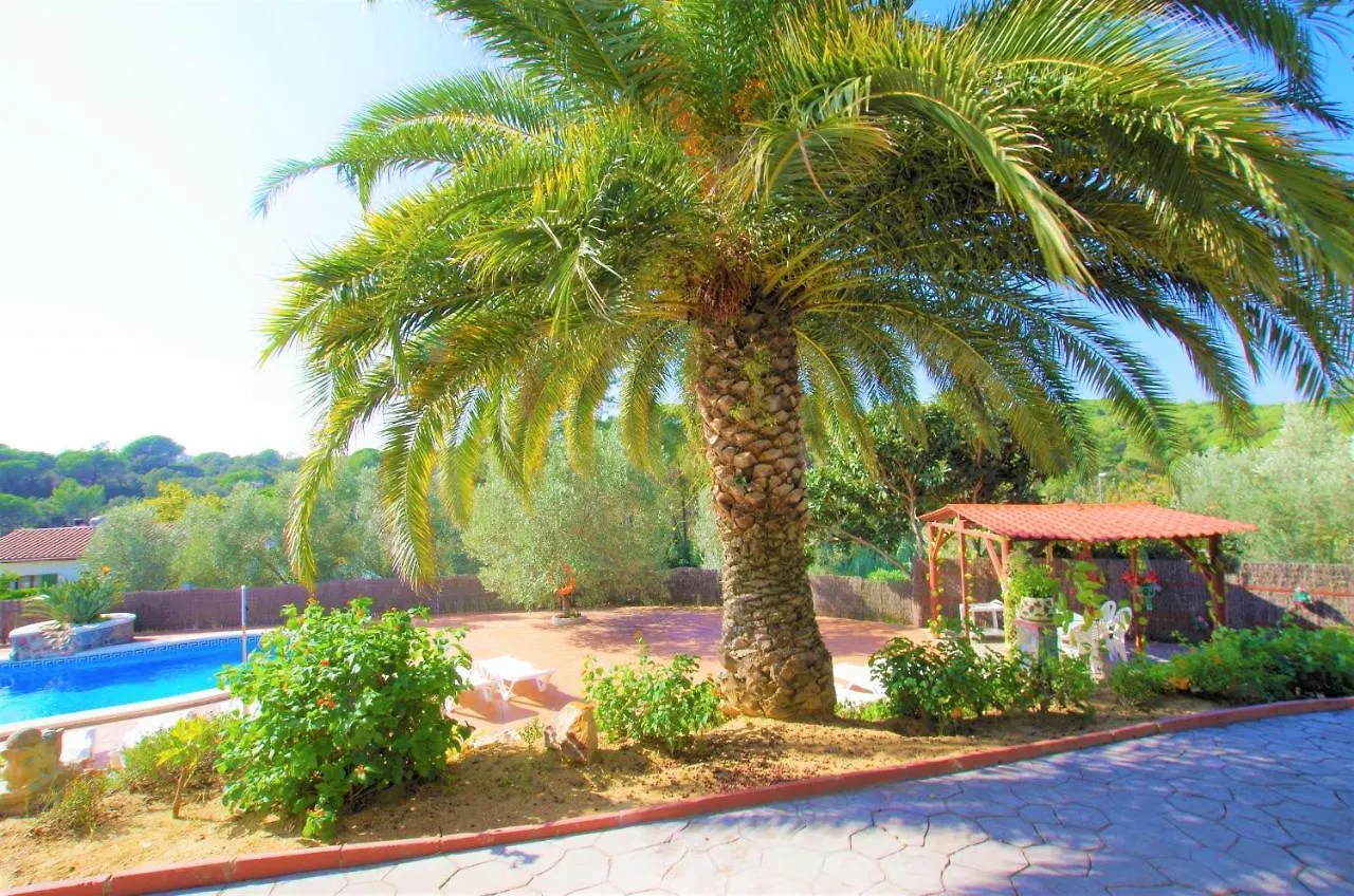 Vacances & Villas Lloret-Villa Dali